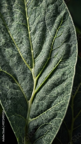 Closeup of Exotic Sage Green Jungle Leaf with Veins, Set Against a Moody Earthy Background