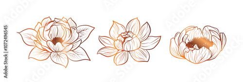 Stylized gold Chinese peony flowers