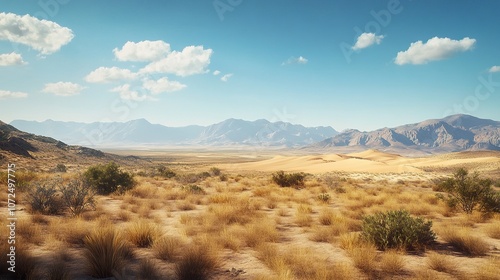 Wide desert landscape with dry grass and distant mountains.