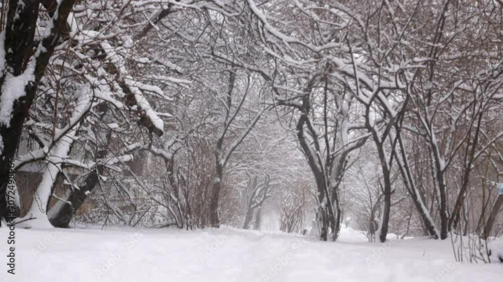 The road is covered with snow, there are snow-covered trees on the sides. It's snowing. Snowy winter concept. Christmas weather. The road is covered with snow, there are snow-covered trees on the sides. It's snowing. Snowy winter concept. Christmas weather.