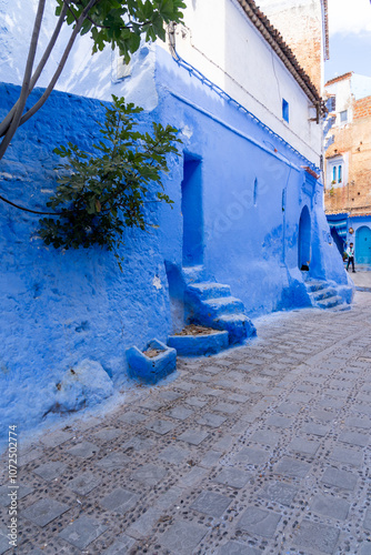 Blue colored houses and streets in Chefchaouen, Morocco. 
Chefchaouen is a small city in the Rif Mountains and is often referred to as the “blue city” or the “blue pearl of Morroco”. 
