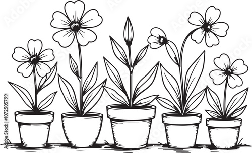 Flowers in pots vector coloring page