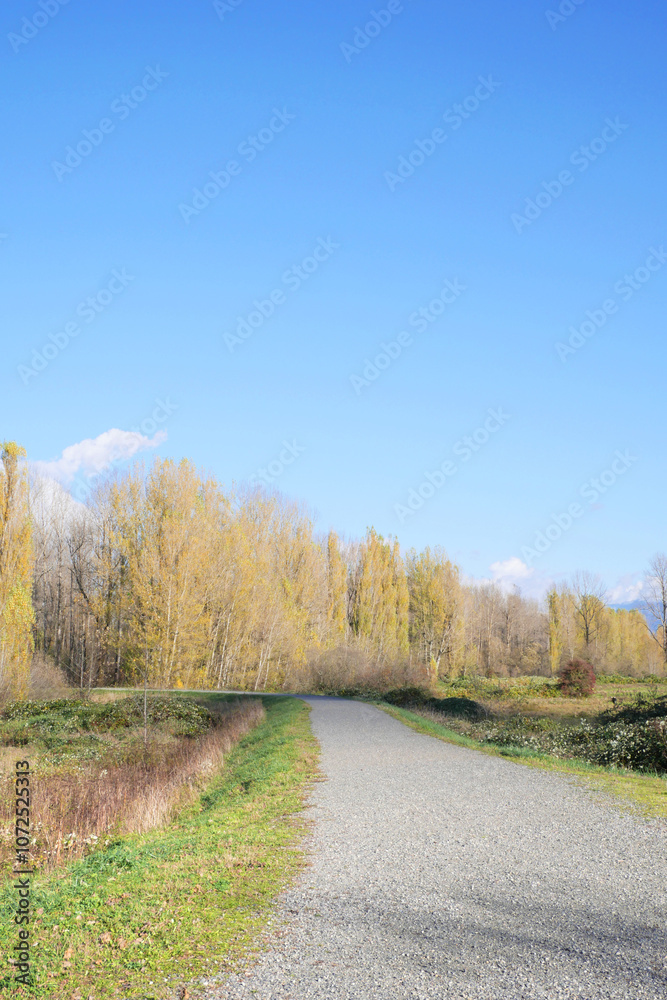 Fototapeta premium Island 22 Regional Park along Fraser River during a fall season in Chilliwack, British Columbia, Canada