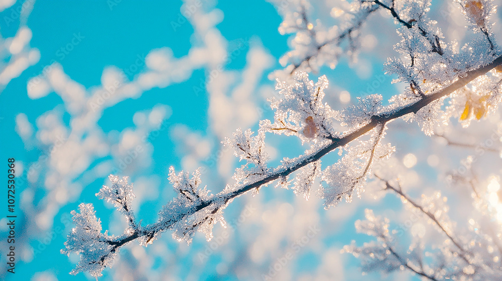 Close-Up of Frost-Covered Branches Against a Bright Blue Winter Sky Close-Up of Frost-Covered Branches Against a Bright Blue Winter Sky
