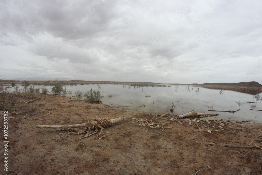Barrage El Mansour Eddahbi, Ouarzazate Lake Barrage El Mansour Eddahbi, Ouarzazate Lake