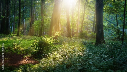 Wallpaper Mural a magical forest scene illuminated by sparkling light creating a serene atmosphere with glowing particles and vibrant nature Torontodigital.ca