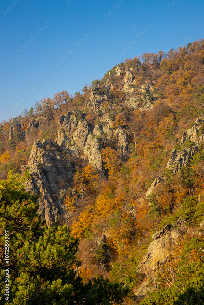 Golden autumn in the forest and mountains along the Donau river in Austria. Wachau region, Vogelberg mountain in the autumn season with yellow and orange leaves on the trees. Yellow leaf on october Golden autumn in the forest and mountains along the Donau river in Austria. Wachau region, Vogelberg mountain in the autumn season with yellow and orange leaves on the trees. Yellow leaf on october