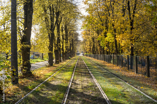 Tram railway in the city by autumn in the alley with yellow fall trees