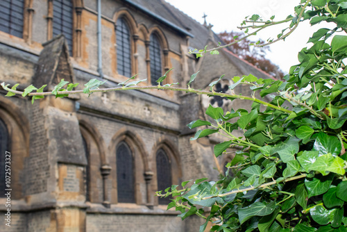 view of the old church