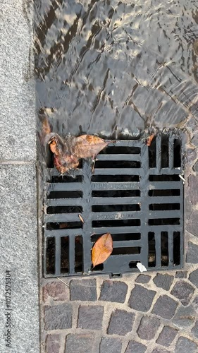 Wallpaper Mural Fallen autumn leaves collecting near a street drain after rain Torontodigital.ca