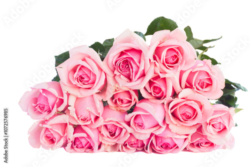 bouquet of fresh pink roses