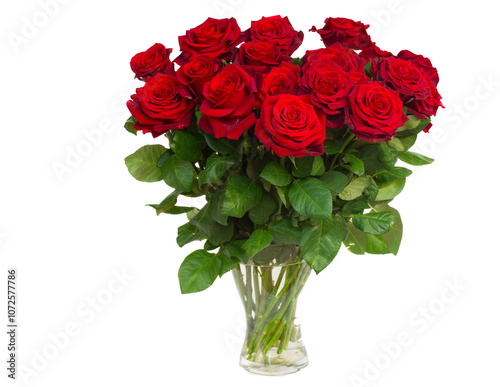 bouquet of blossoming dark  red roses in vase