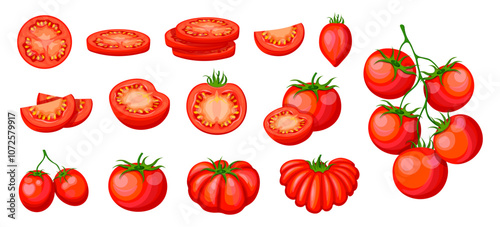 Set of red tomatoes in cartoon style. Vector illustration of fresh, tasty tomatoes, whole, halves, slices, branch, cherry tomatoes, with seeds, stems, isolated on white background. Useful vegetables.