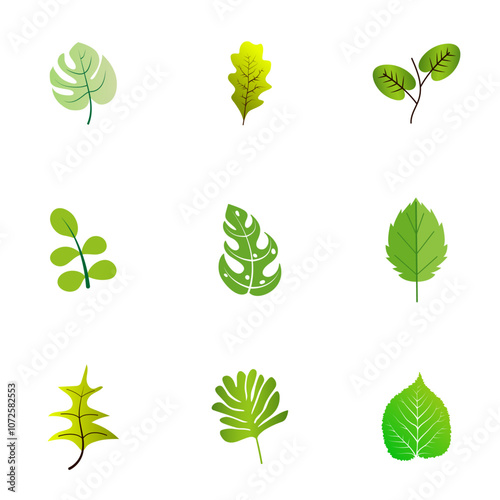 set of green leaf vector design, leaf, nature, tree, icon, plant, vector, green, leaves, design, eco, illustration, set, ecology, spring, symbol, environment, logo, natural, floral, branch, art, grow