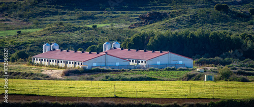 pig farms irrigated fields mountainside