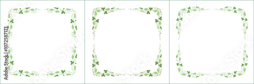 Set of green three vegetal vector frames with green grape vine.  Vector frame for all sizes and formats. Isolated vector illustration.	
