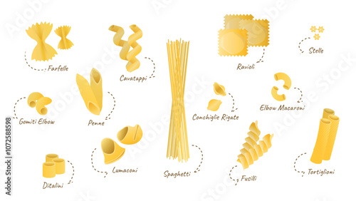 Different sorts of pasta. Set of different types of Italian pasta.Farfelle, ditalini, fusilli, conchigle rigate, penne, stelle, lumaconi, cavatappi,gomiti,elbow macaroni, ravioli,spaghetti,tortiglioni