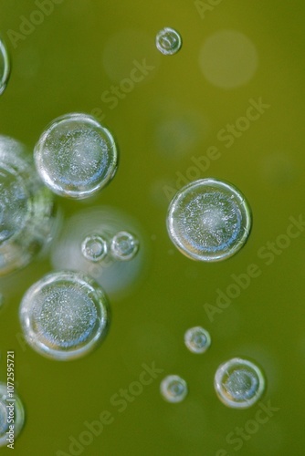 Frozen bubbles in a pond photographed from the top