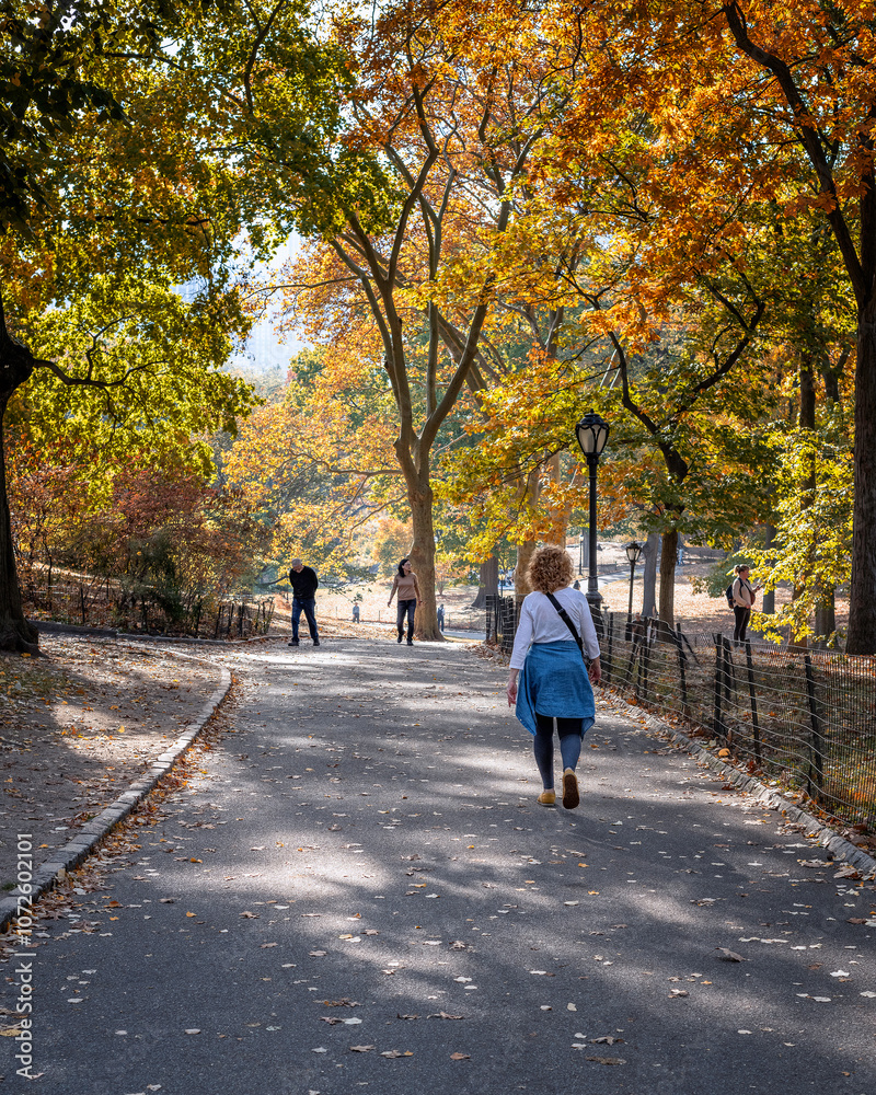 New York, New York, USA – October 30, 2024: Scenic view of people walking through Central Park on a sunny Autumn afternoon in New York, New York, USA. New York, New York, USA – October 30, 2024: Scenic view of people walking through Central Park on a sunny Autumn afternoon in New York, New York, USA.