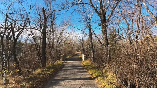bridge in the park