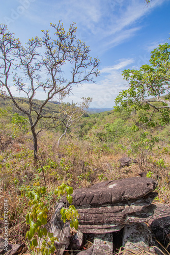 Beautiful Savannah Landscape in center of Brazil.