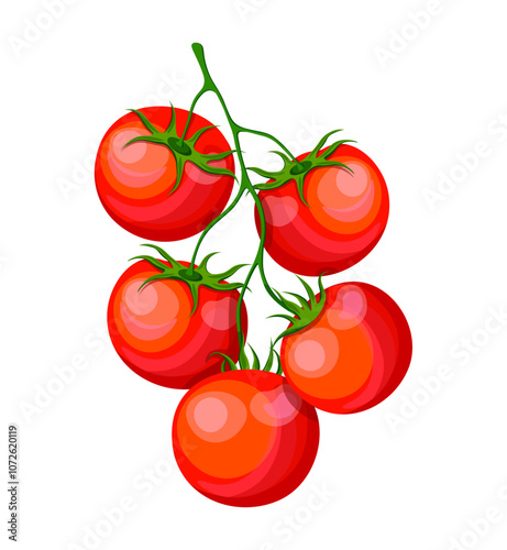Branch of fresh tomatoes in cartoon style. Vector illustration of red tomatoes with green stems isolated on white background. Useful, vitamin vegetables. A round tomato. Cherry tomatoes.