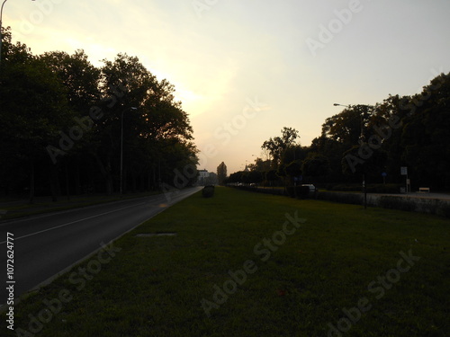 Lawn, trees and roads in the city.