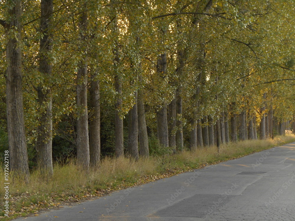 Naklejka premium City landscape, Wroclaw, Poland