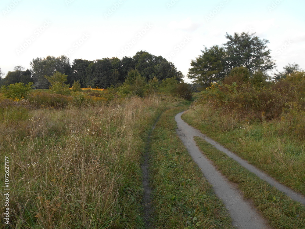 A path among wastelands. A path among wastelands.