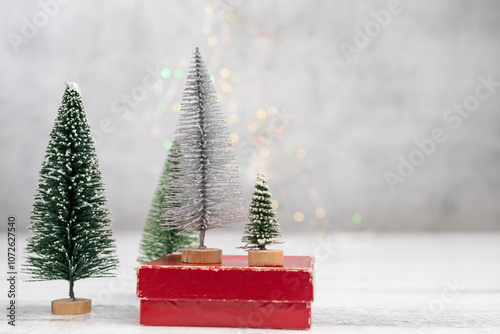 Reto Red Box with Small Christmas Tree Decoration