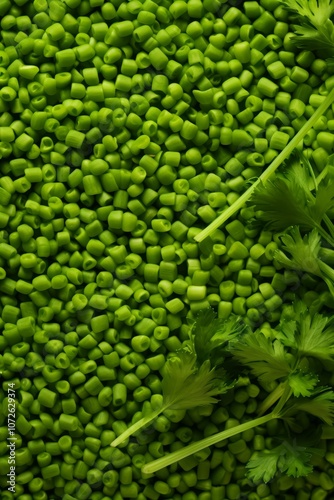 Close-up of fresh green coriander leaves on a bed of green lentils.