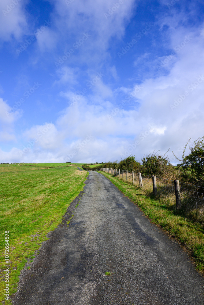 Country road crossing hill country with fence green farmland and blue sky Country road crossing hill country with fence green farmland and blue sky