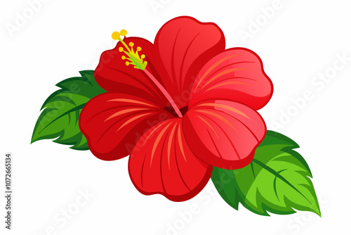 Flower red hibiscus isolated on white background vector art illustration photo