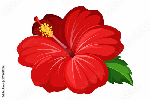 Flower red hibiscus isolated on white background vector art illustration photo