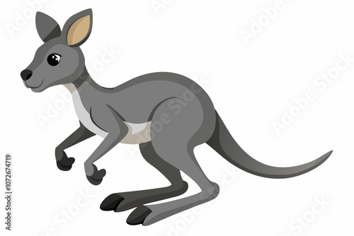  Baby kangaroo isolated on white background vector art illustration 