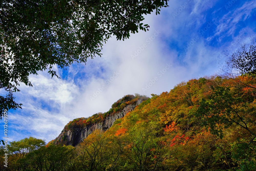 青空と紅葉が広がる秋の自然風景
