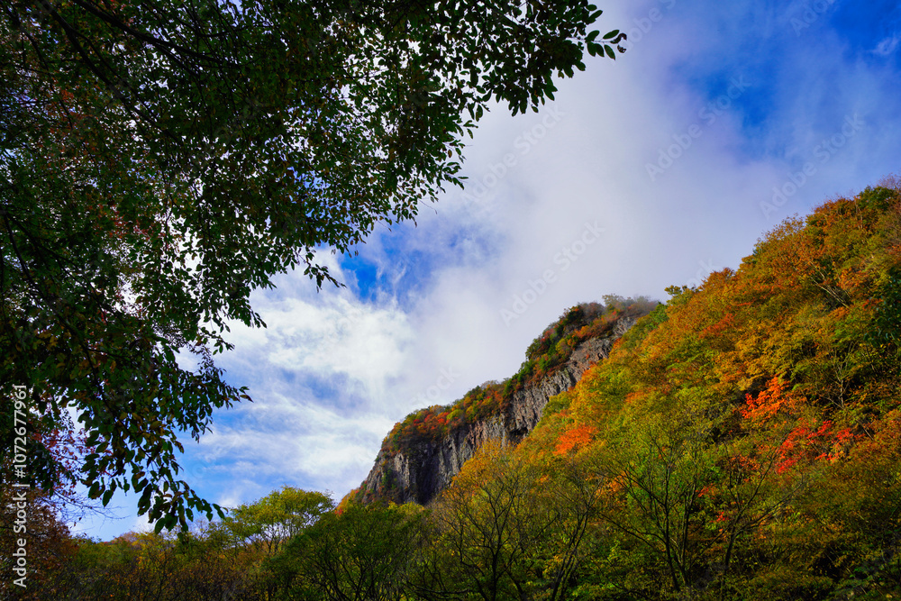 青空と紅葉が広がる秋の自然風景