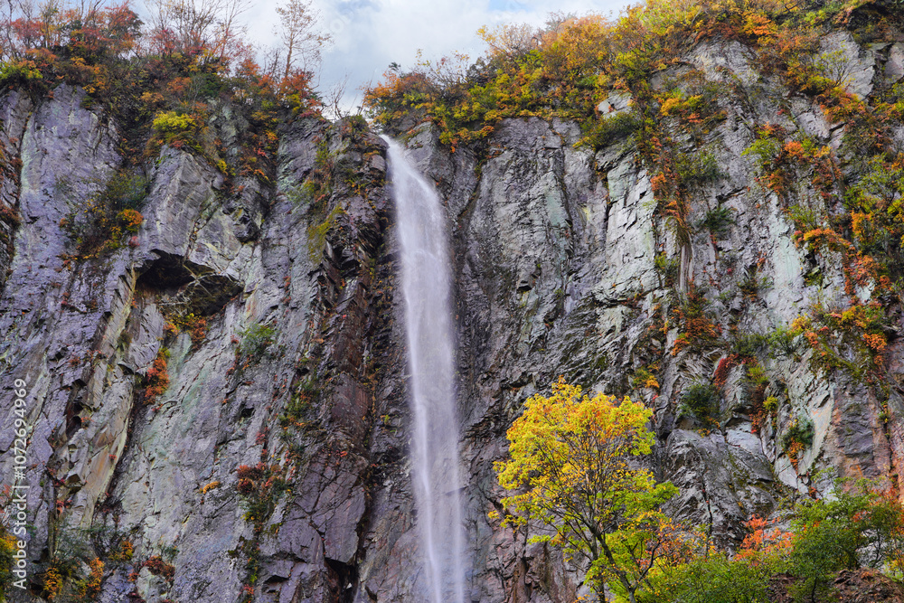 秋の紅葉と米子大瀑布の滝の風景