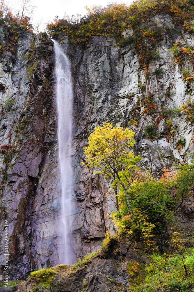 秋の紅葉と米子大瀑布の滝の風景