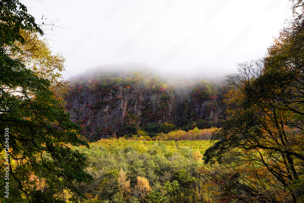霧がかかる秋の谷と紅葉風景