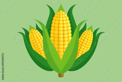 corn on the cob with leaves vector art illustration