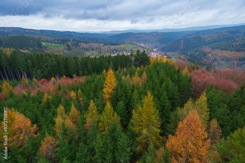 Autumn forest. Fall nature. Autumn picturesque background. Vibrant color tree, red orange foliage in fall park. Nature change Yellow leaves in october season. Autumn forest on a sunny day. Krusne Hory