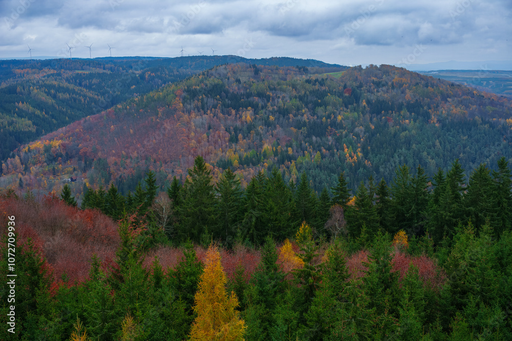 Autumn forest. Fall nature. Autumn picturesque background. Vibrant color tree, red orange foliage in fall park. Nature change Yellow leaves in october season. Autumn forest on a sunny day. Krusne Hory Autumn forest. Fall nature. Autumn picturesque background. Vibrant color tree, red orange foliage in fall park. Nature change Yellow leaves in october season. Autumn forest on a sunny day. Krusne Hory