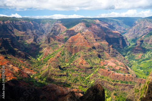 A stunning view of Waimea Canyon State Park, showcasing vibrant layers of red, green, and brown hues across rugged canyon walls. photo