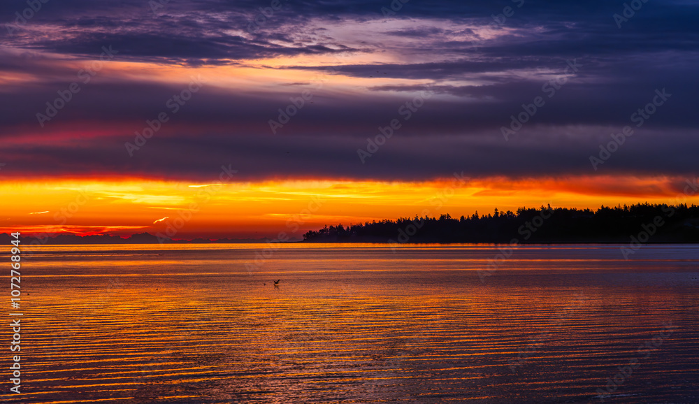 Fototapeta premium Stunning Sunset Over Victoria, Vancouver Island Coastline