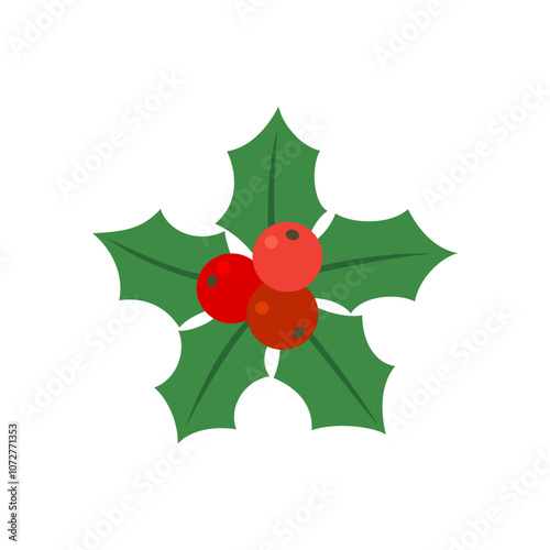 Christmas holly berry isolated on white background.
