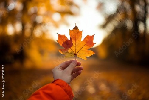 Holding a leaf in hand,dry beautiful surroundings photo