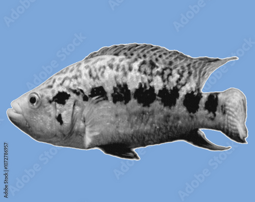 close up side view of fish pixelate grayscale color halftone dotted texture style collage element isolated on blue background