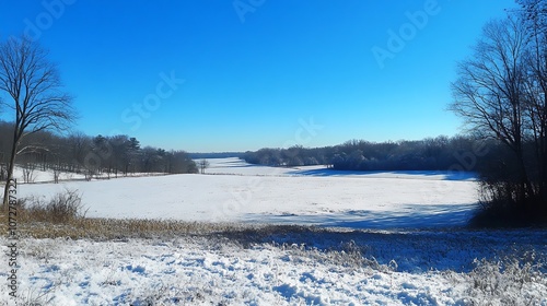 Snow-Covered Field with Trees and a Blue Sky
