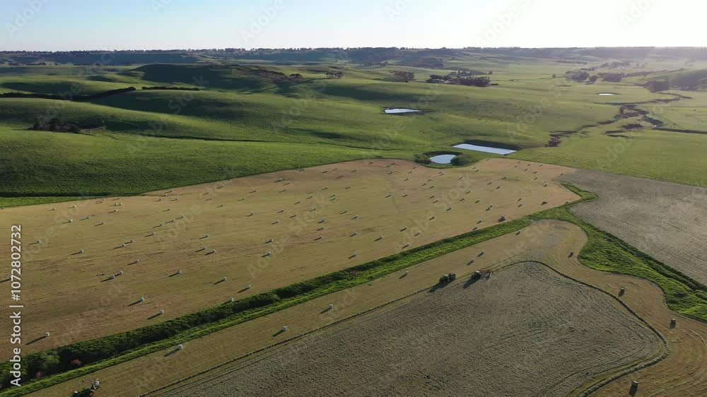 Making hay bales in a field In Australian. Baling silage rolls in a meadow Making hay bales in a field In Australian. Baling silage rolls in a meadow